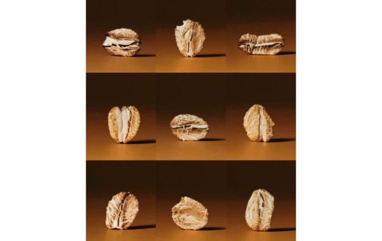 ¿QUÉ TAN SALUDABLES SON LAS AVENAS?