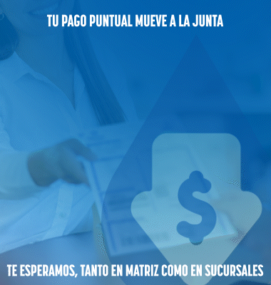 spot_img